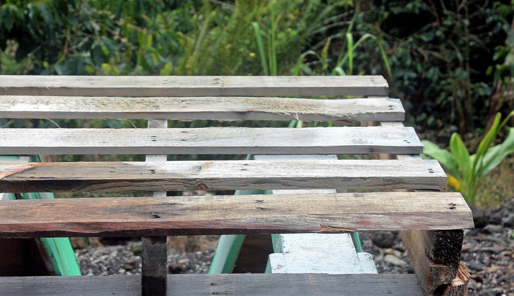 Hawaii Home Garden Organic Pallet Gardening